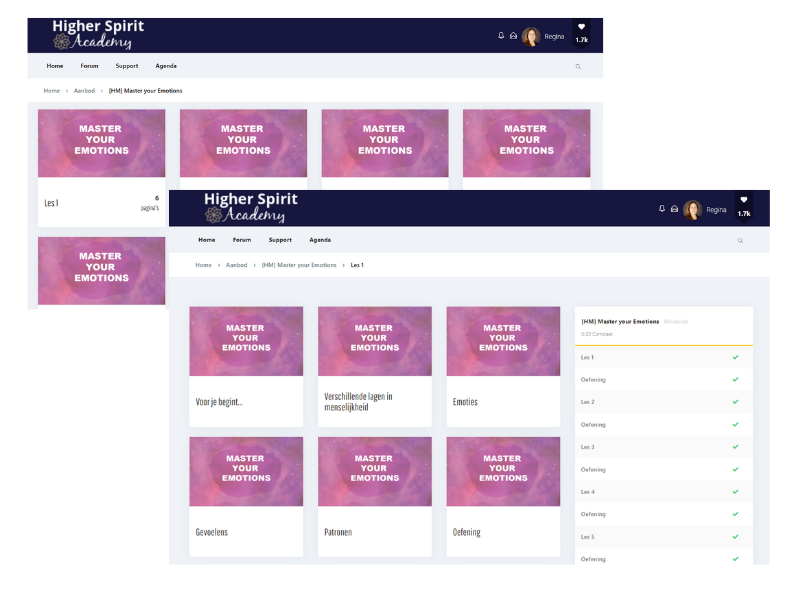 higher-spirit-academy-healing-membership-dashboard