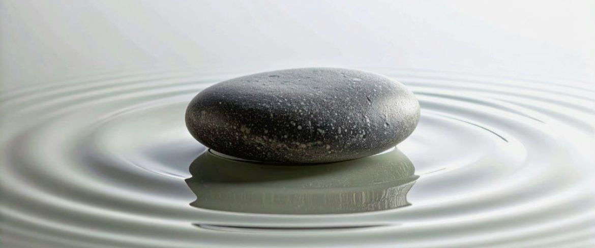 higher-spirit-academy-training-hz